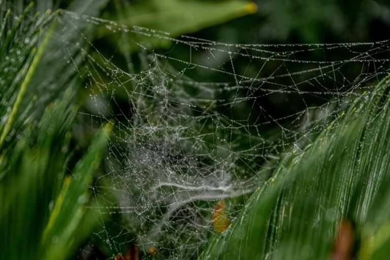 smart website expansion metrics